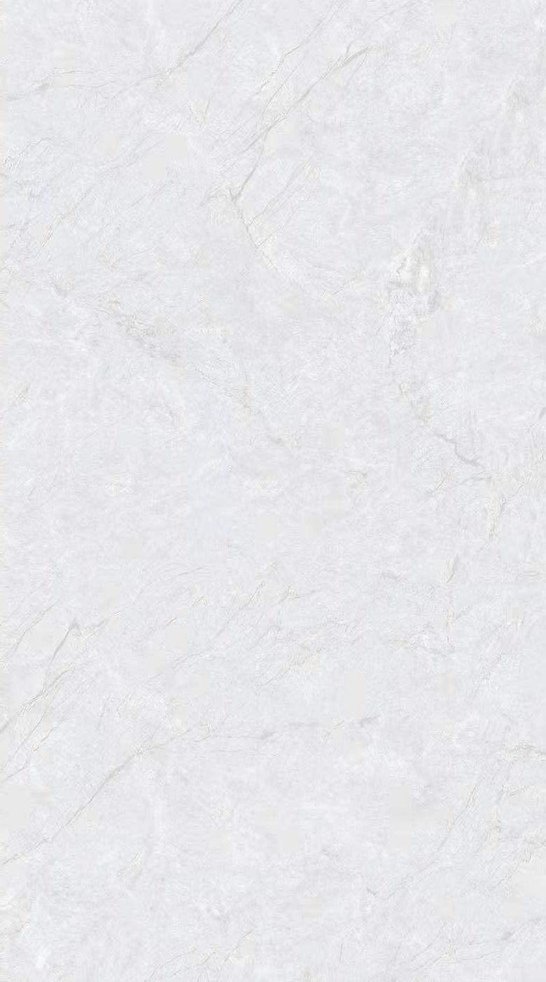 H25308